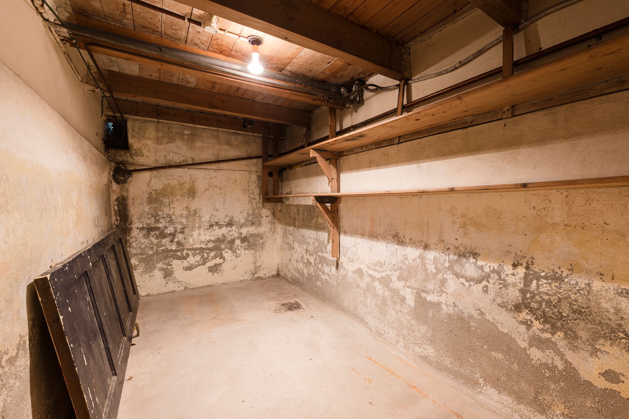 Photo 36 of Plantsoen Laanhorn 16