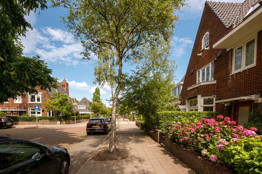 Photo 38 of Plantsoen Laanhorn 16