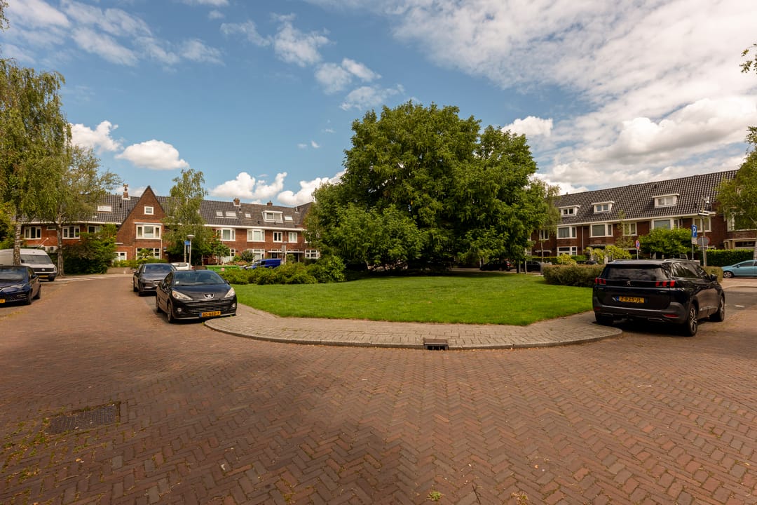 Photo 41 of Plantsoen Laanhorn 16