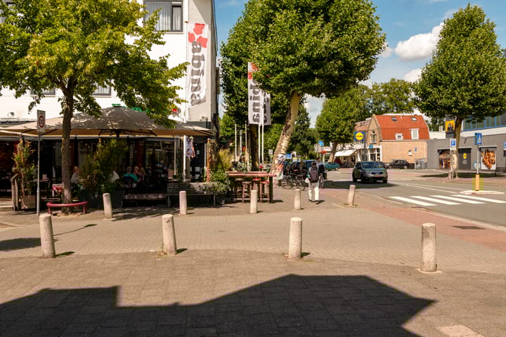 Photo 44 of Plantsoen Laanhorn 16