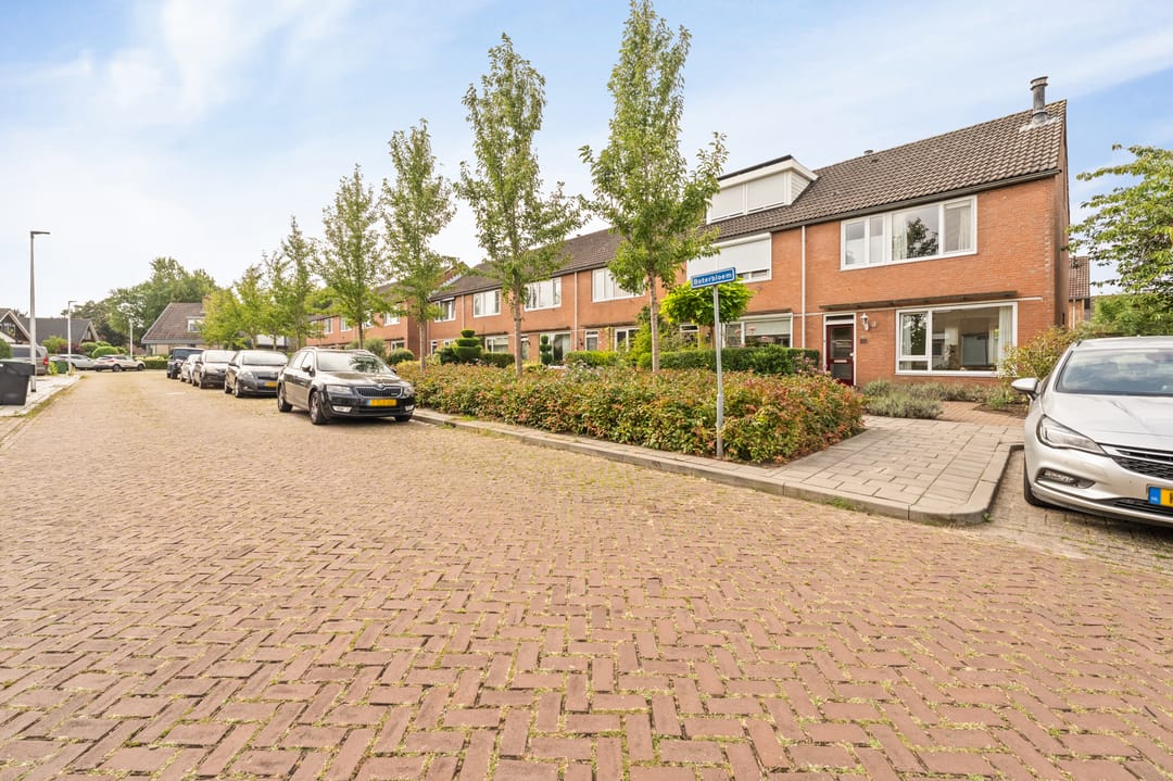 Photo 52 of Boterbloem 22