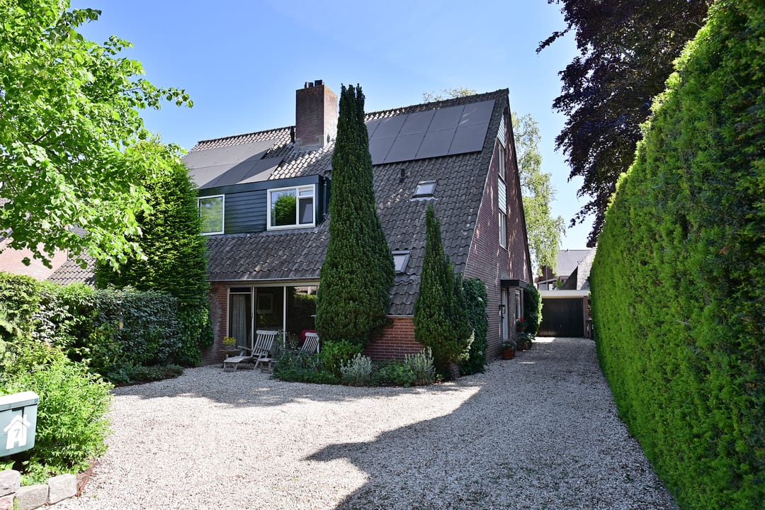 Foto 1 van Boekweitskorrel 7