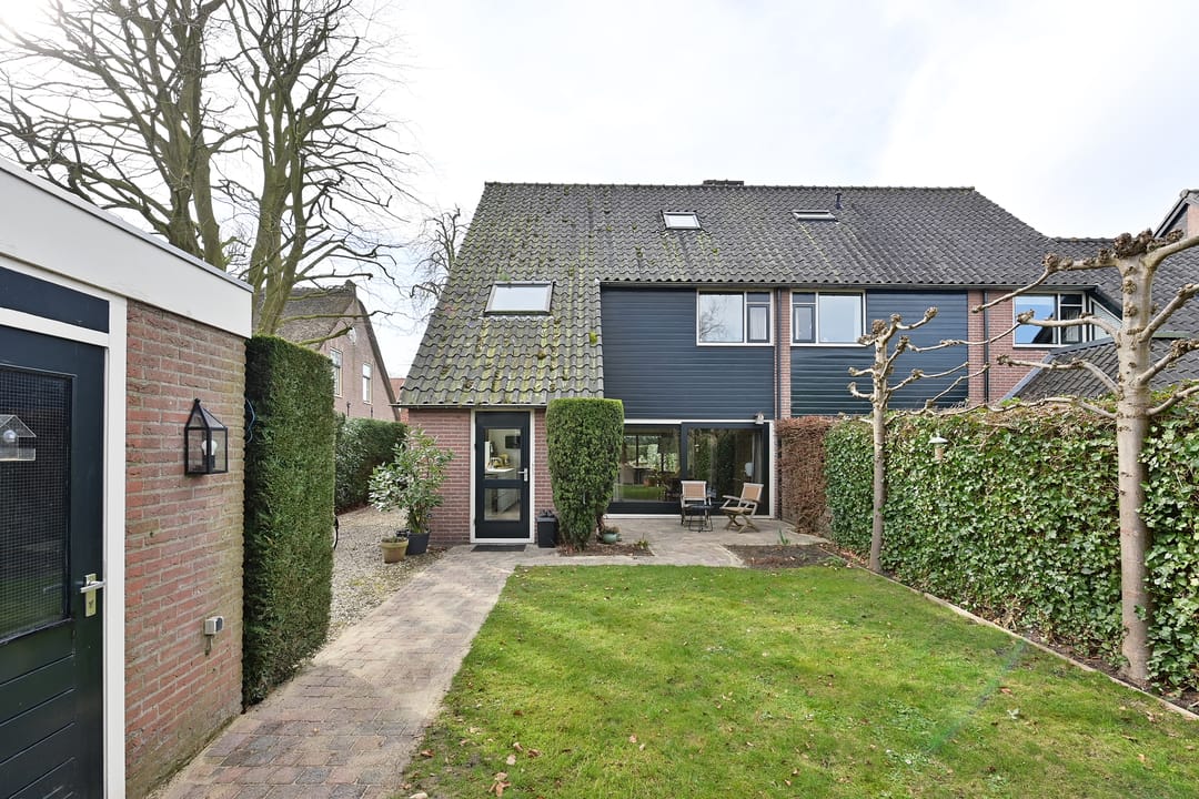 Foto 17 van Boekweitskorrel 7