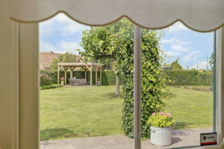 Photo 21 of Appellaan 19