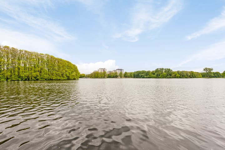 Foto 47 van Hemsterhuisstraat 84