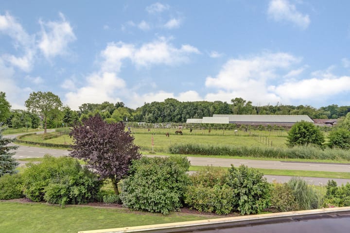 Photo 40 of Appellaan 19