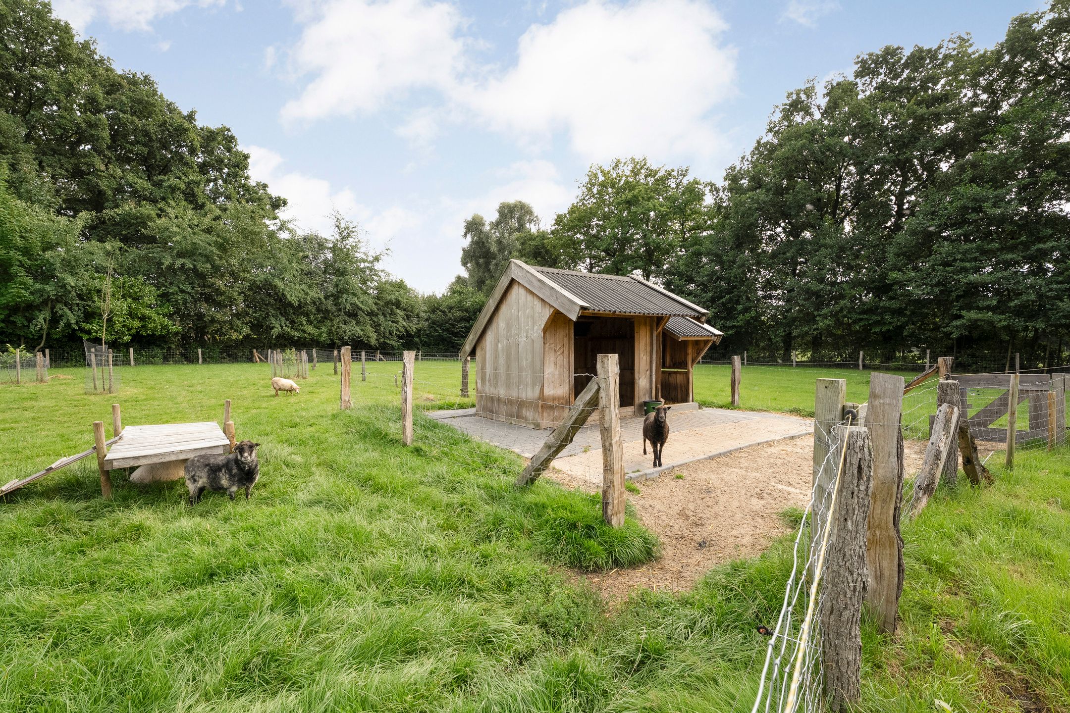 Foto 30 van Zoekeweg 2