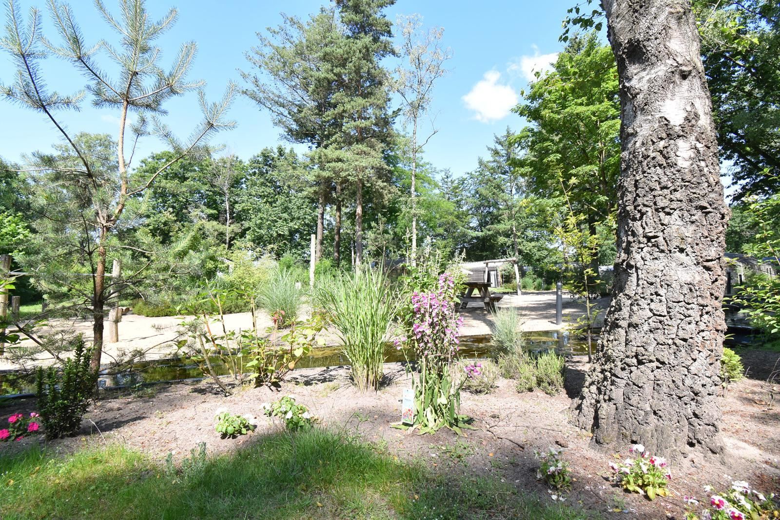 Photo 27 of Koningsweg 14-FL01