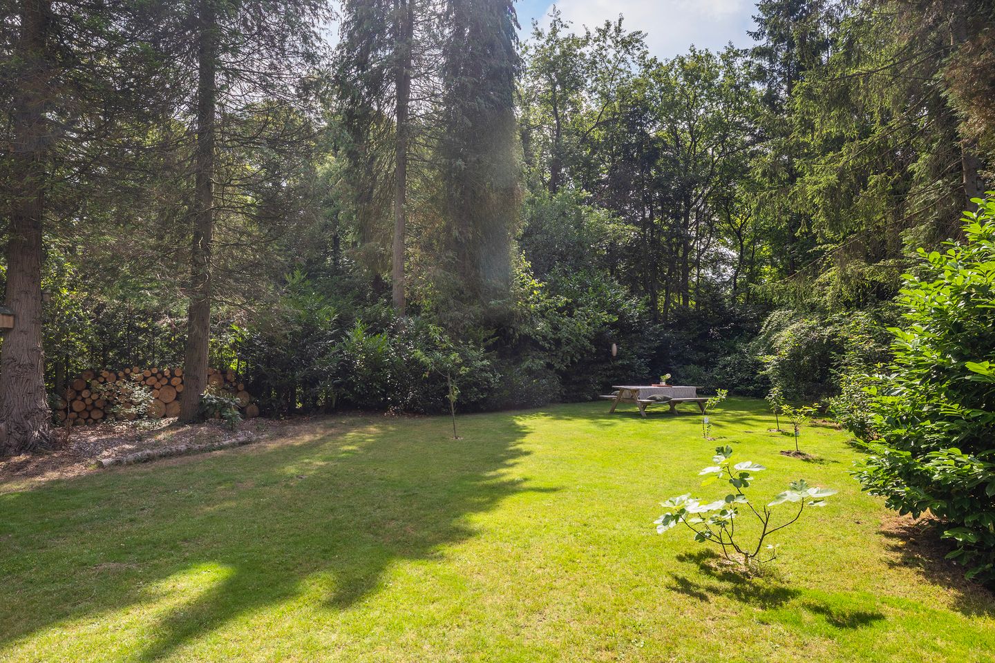 Foto 25 van Amersfoortsestraat 120