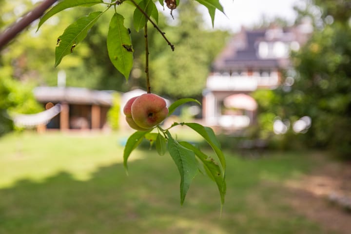 Foto 27 van Amersfoortsestraat 120