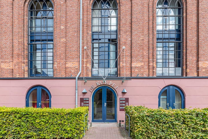 Foto 7 van Gele Eker 1-C