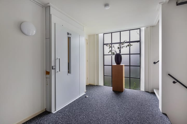 Foto 9 van Gele Eker 1-C