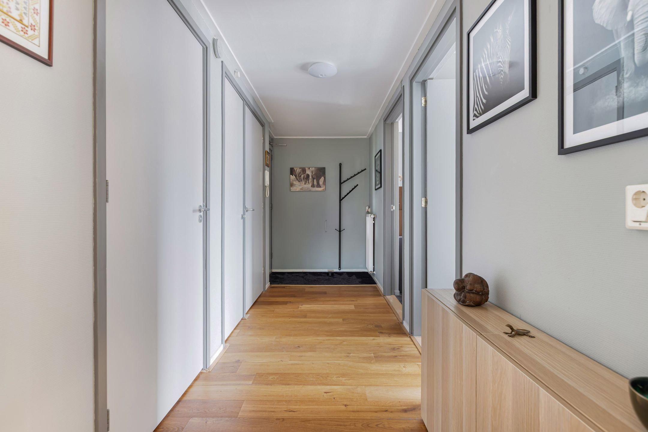 Foto 12 van Gele Eker 1-C