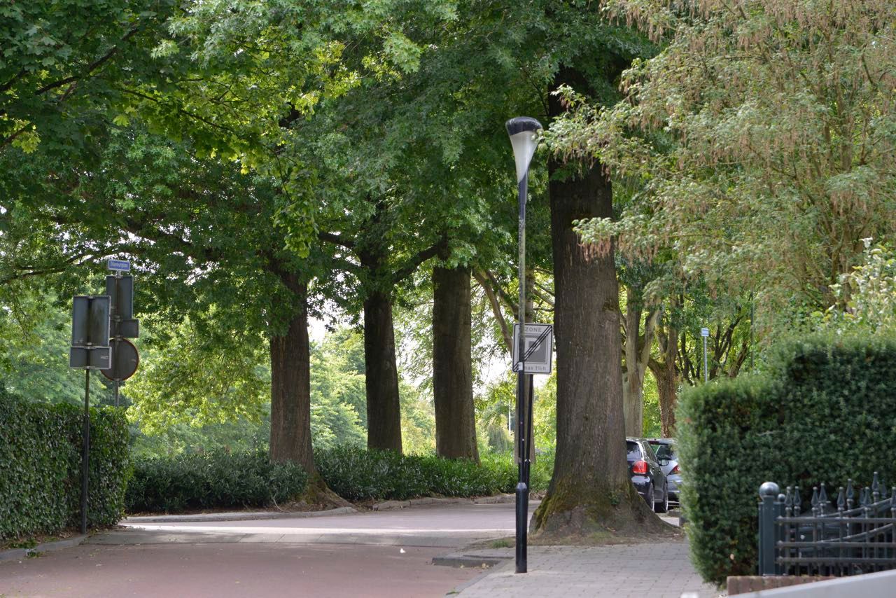 Foto 20 van van Weedestraat 157