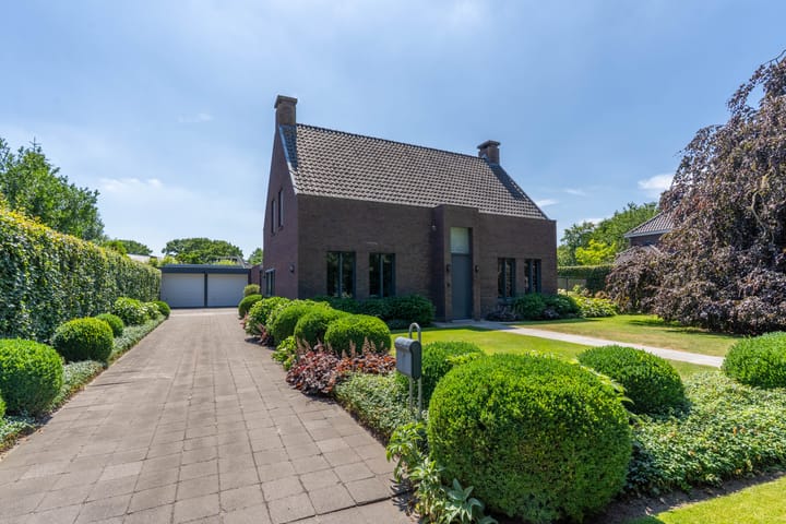 Foto 1 van Hoenderstraat 115