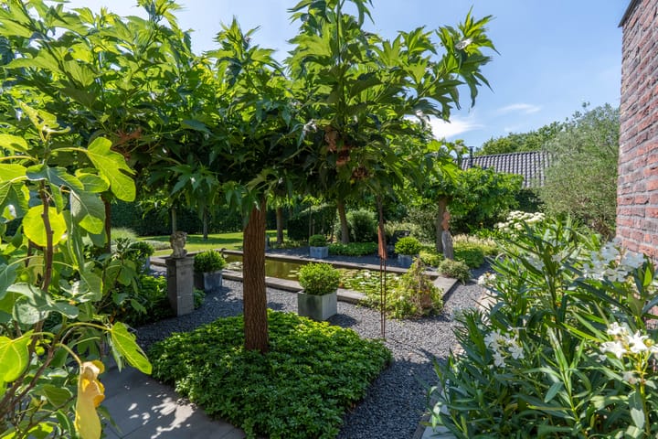 Foto 17 van Hoenderstraat 115