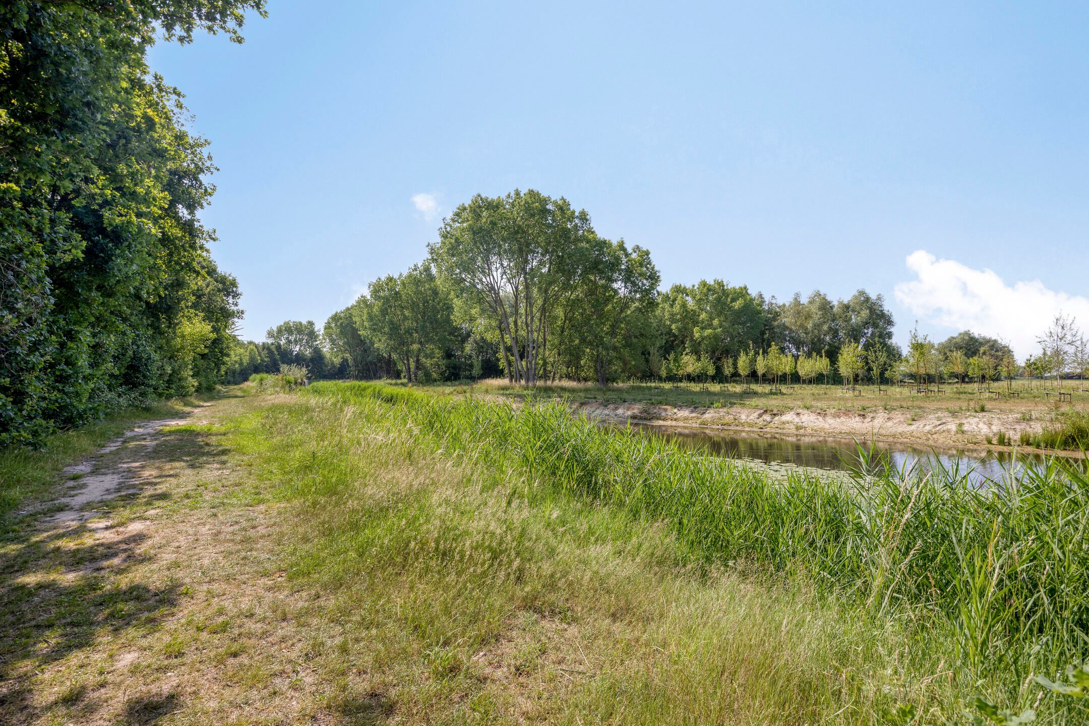 Foto 39 van Mosberg 82