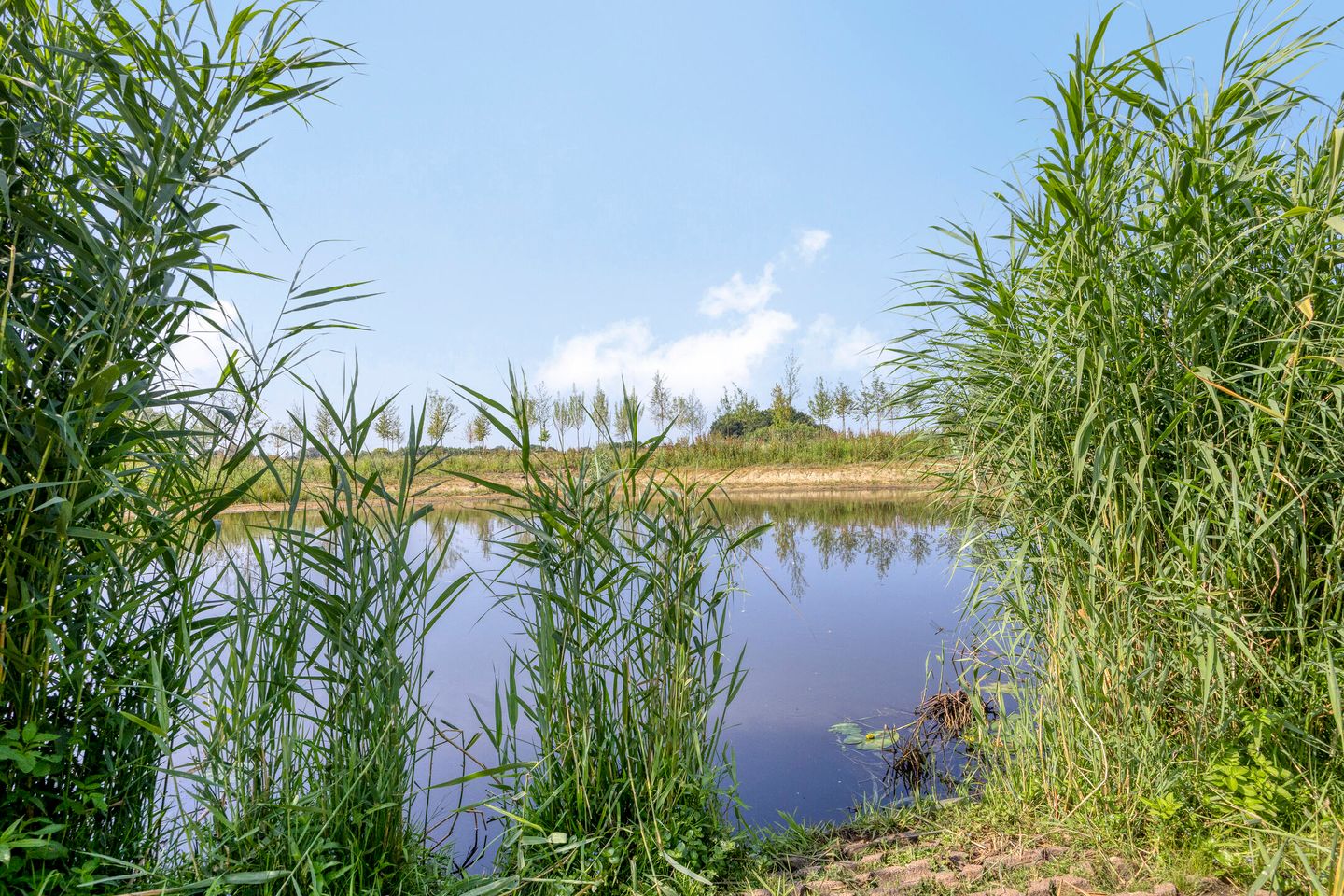 Foto 40 van Mosberg 82