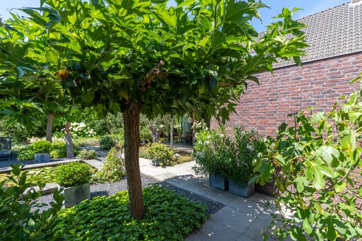 Foto 20 van Hoenderstraat 115