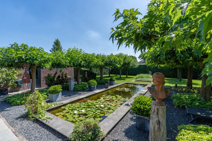 Foto 23 van Hoenderstraat 115