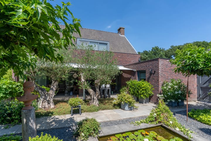 Foto 25 van Hoenderstraat 115