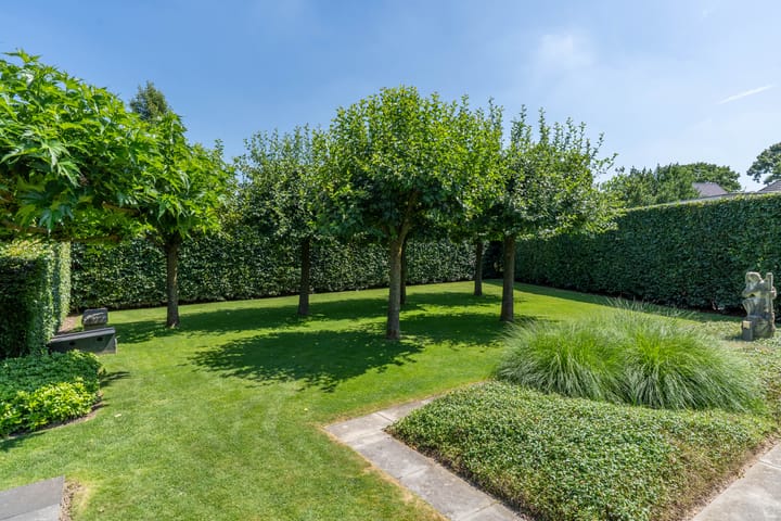 Foto 28 van Hoenderstraat 115