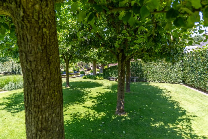 Foto 31 van Hoenderstraat 115