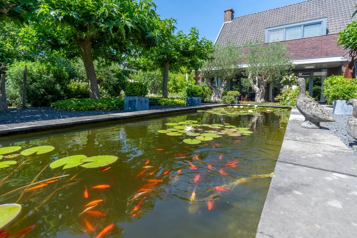 Foto 43 van Hoenderstraat 115