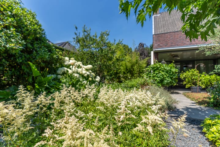 Foto 44 van Hoenderstraat 115