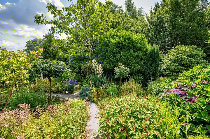 Foto 33 van Hoofdstraat 37