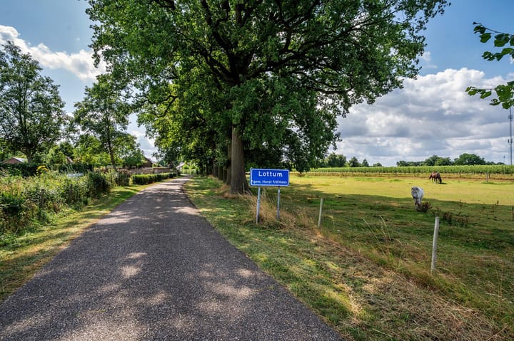 Foto 47 van Hoofdstraat 37