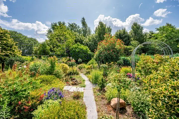 Foto 32 van Hoofdstraat 37