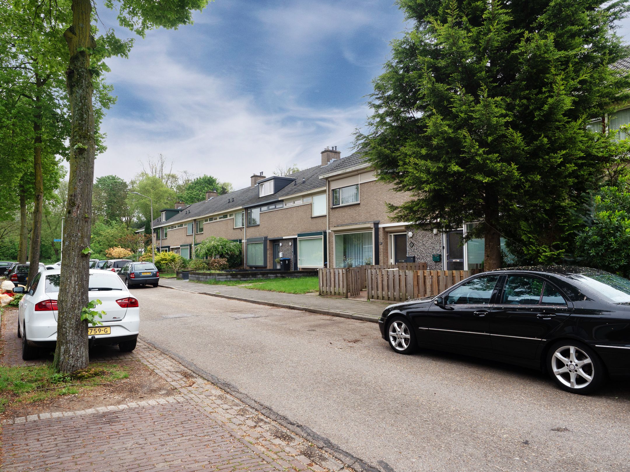 Foto 24 van Lankforst 3019