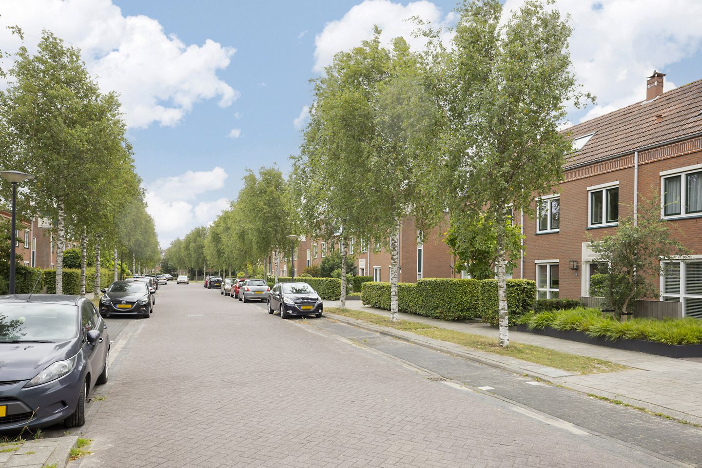 Foto 44 van Wim Kanlaan 4