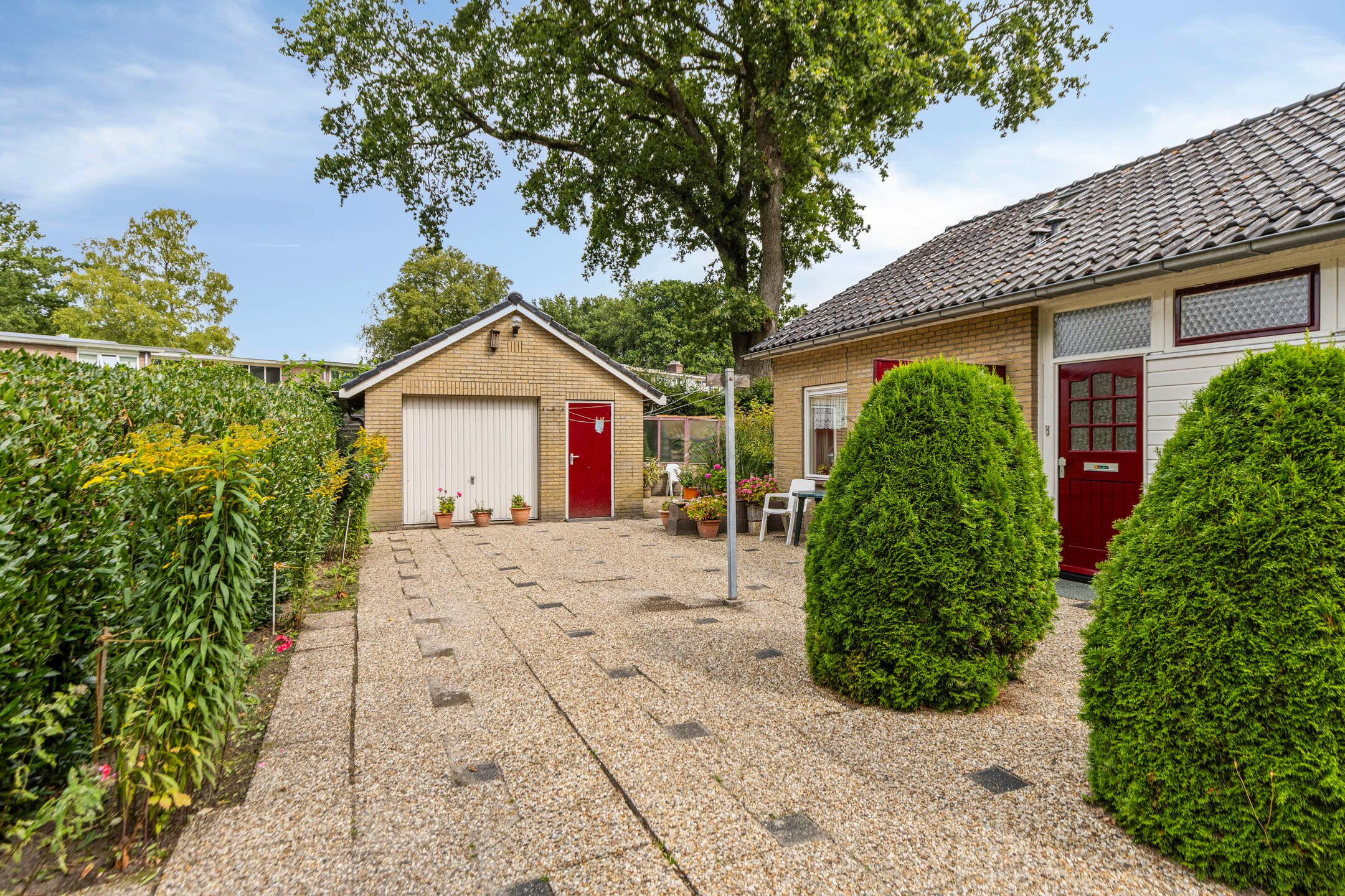 Foto 6 van Dwarshaer 12