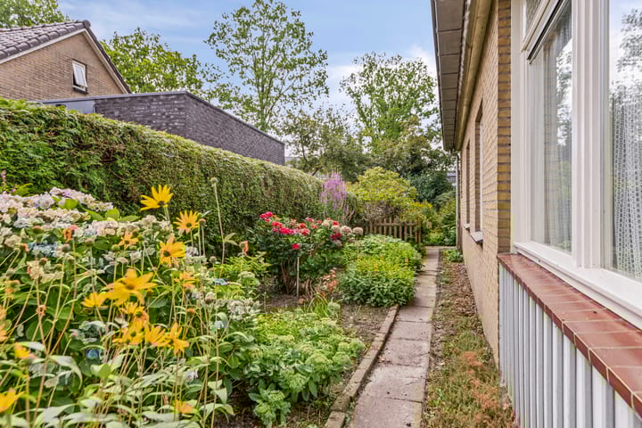 Foto 26 van Dwarshaer 12