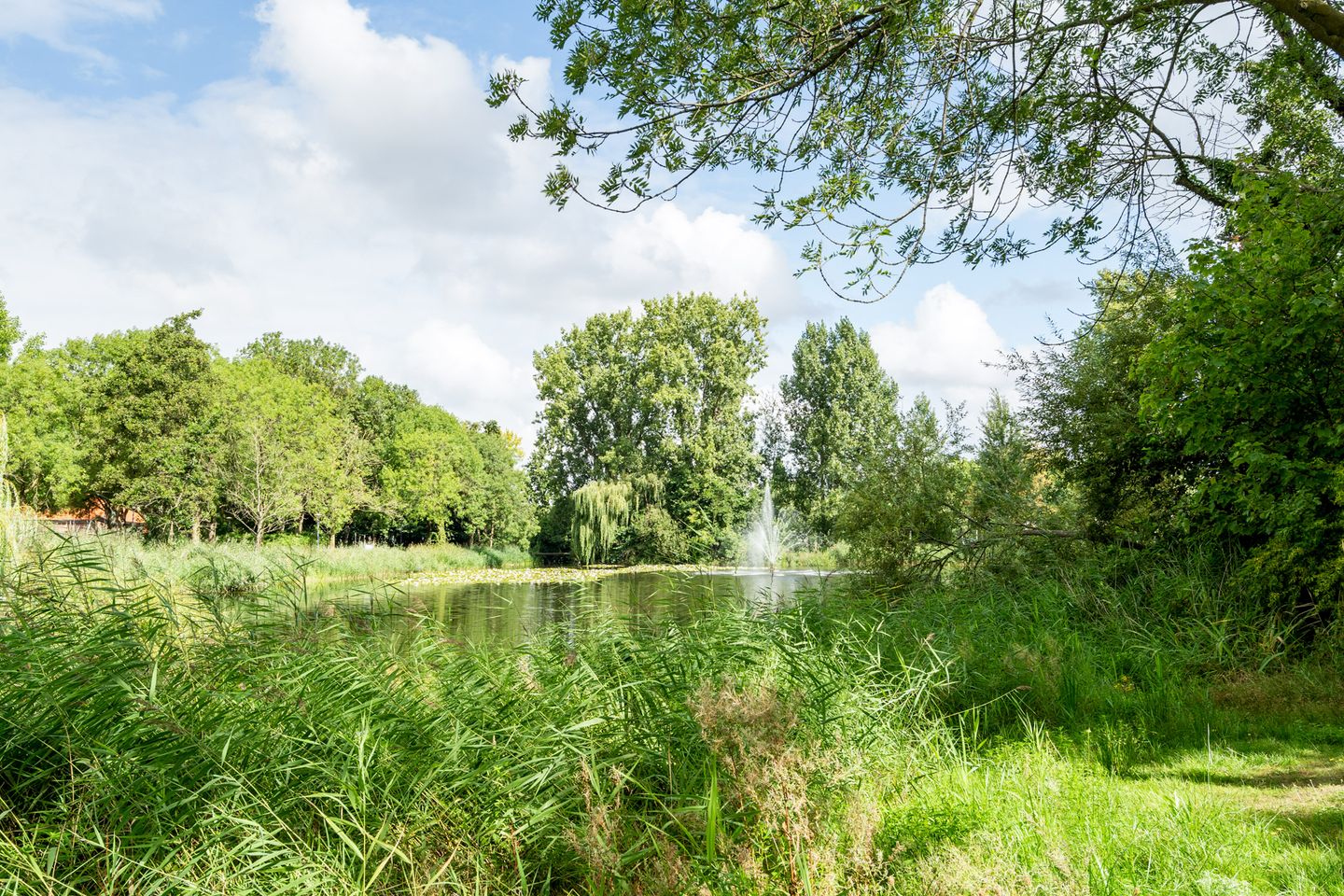 Foto 34 van Lachappellestraat 45-B