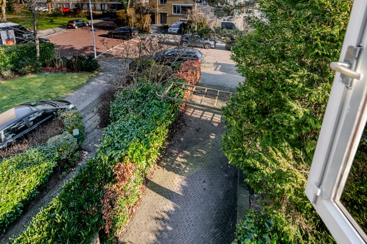 Foto 34 van Olgaland 3