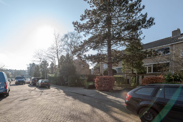 Foto 51 van Olgaland 3