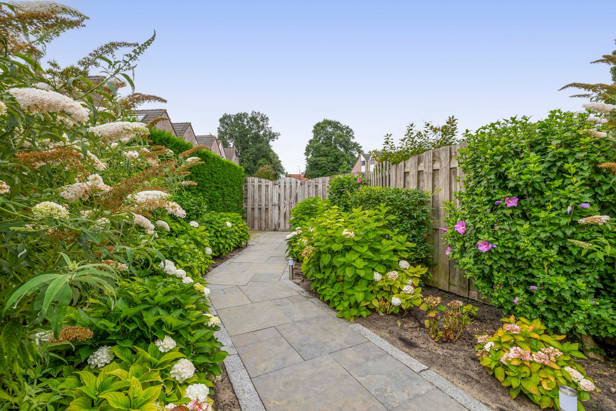 Foto 33 van Zuiderkruis 1