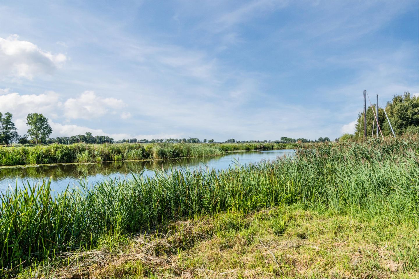 Foto 59 van Atalanta 45