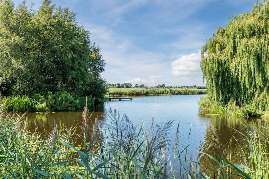 Foto 62 van Atalanta 45