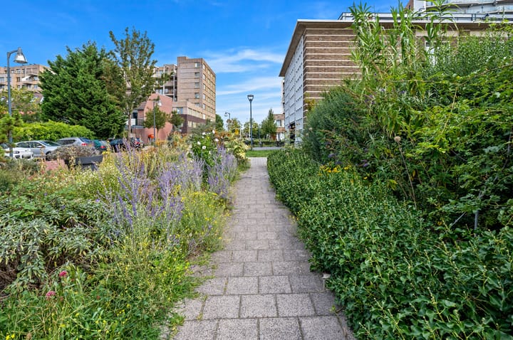 Foto 34 van Pasteurstraat 107