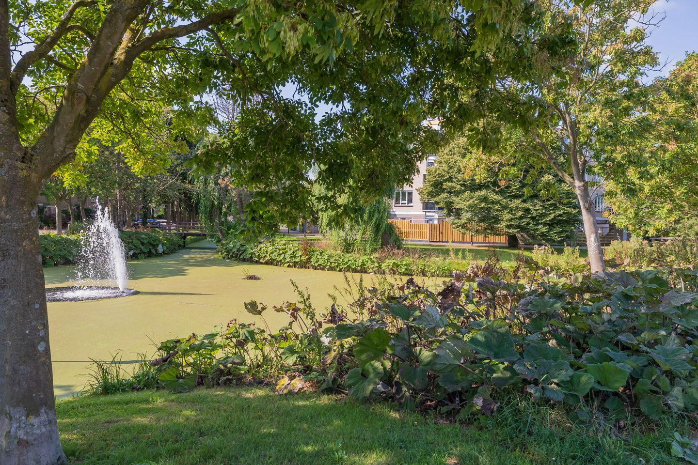 Foto 19 van Zandbank 13