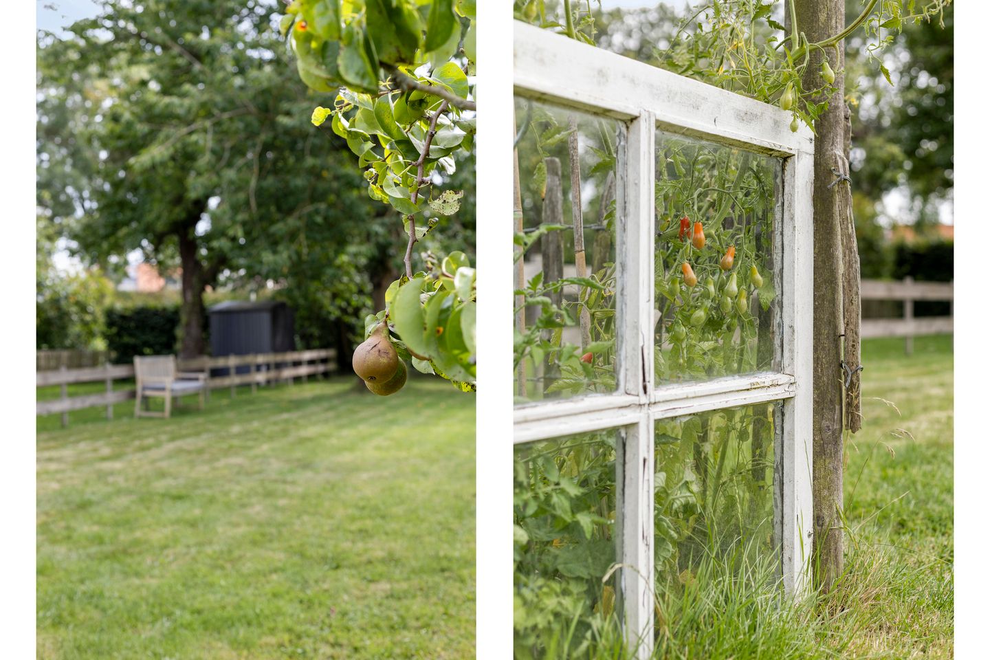 Foto 29 van Zuiderweg 155