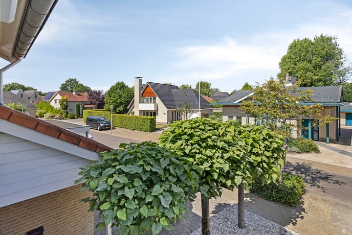 Foto 29 van Duizendblad 19