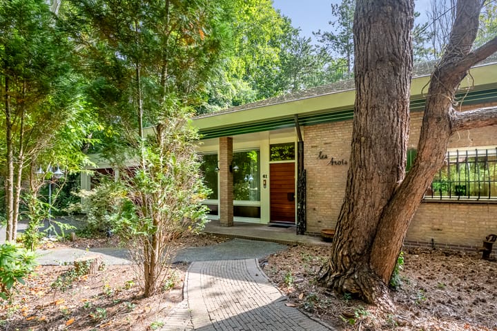 Photo 3 of Zandvoorterweg 61