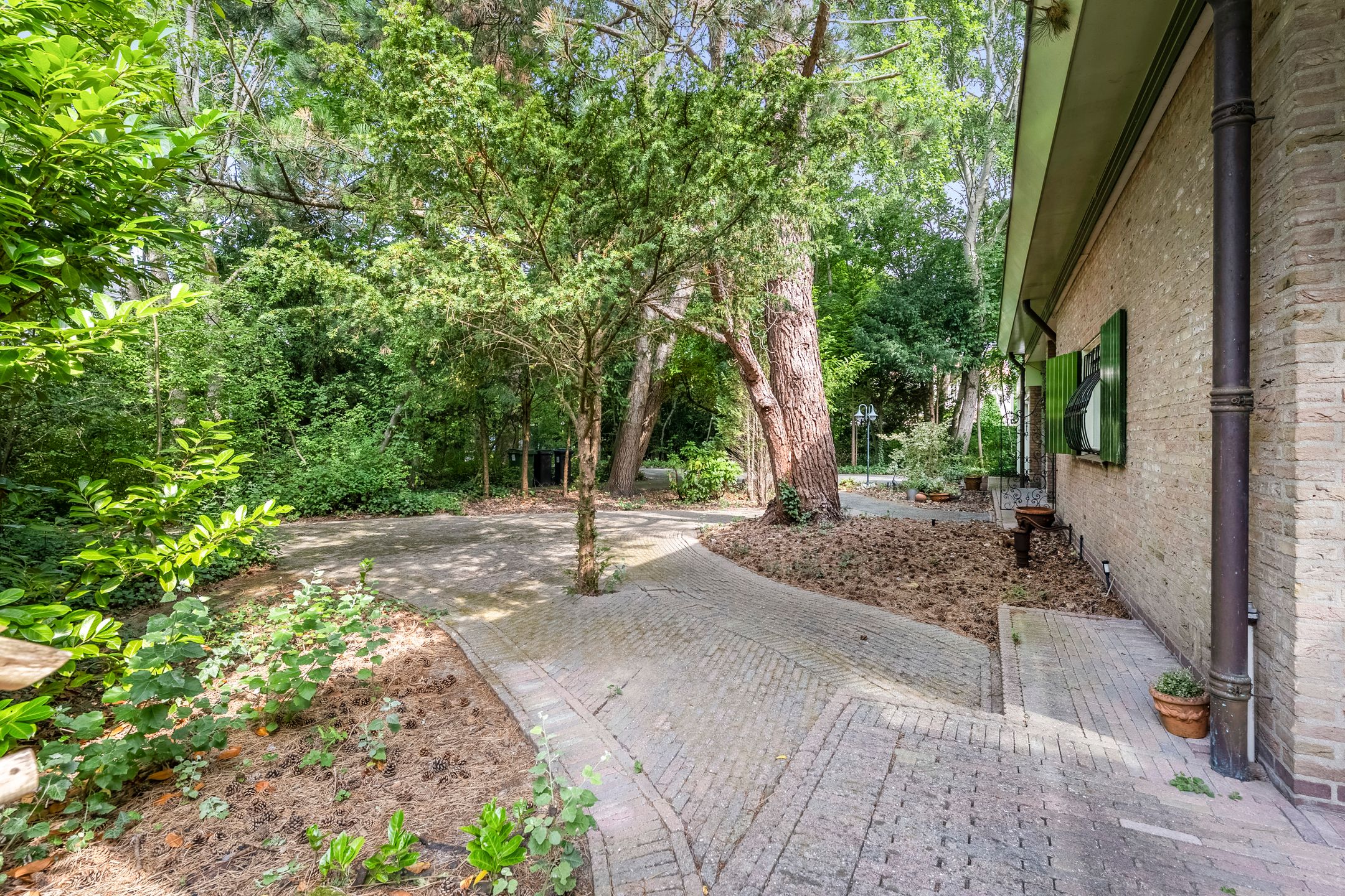 Foto 24 van Zandvoorterweg 61