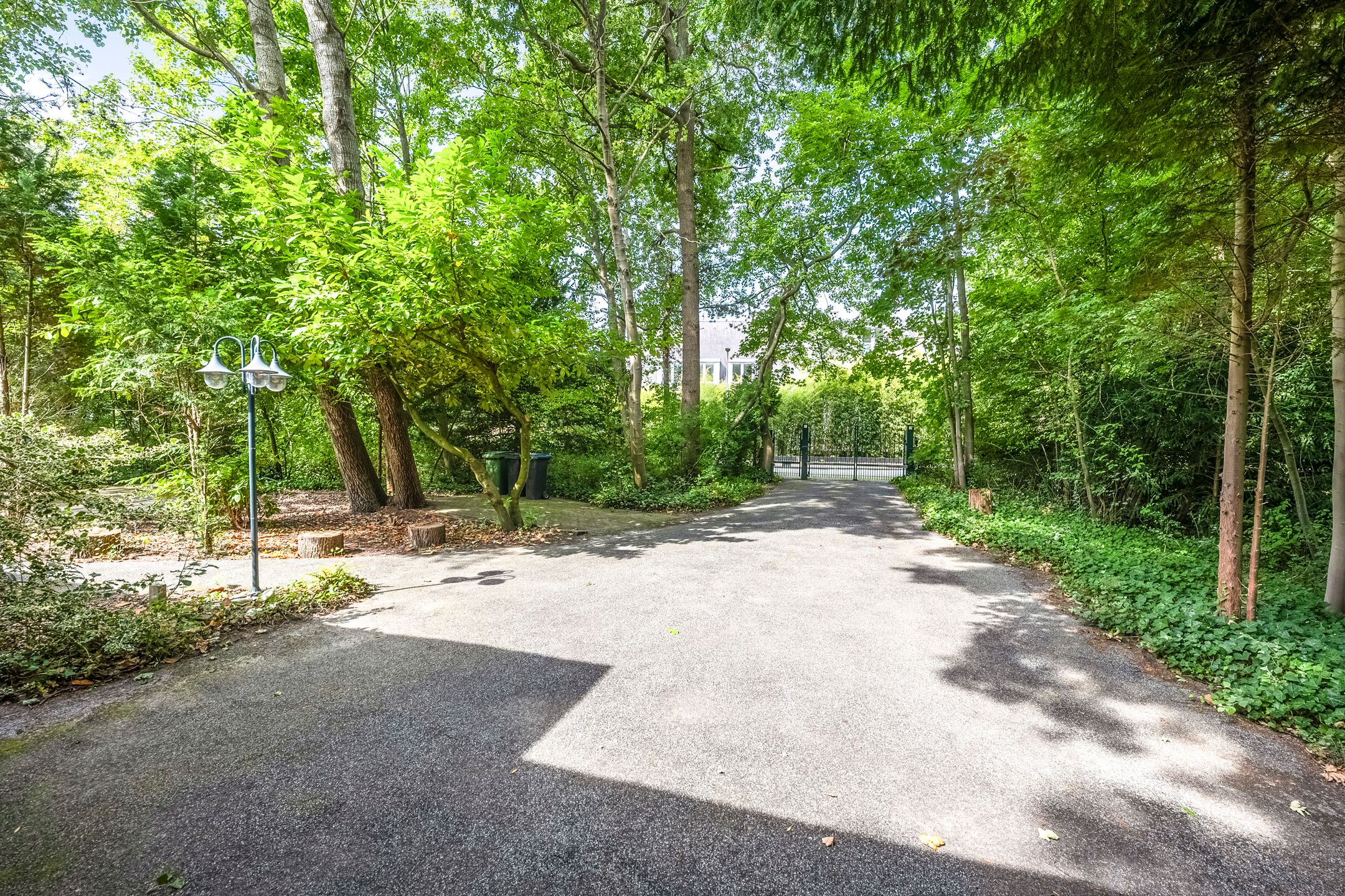 Foto 48 van Zandvoorterweg 61