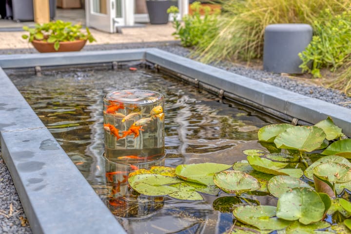 Photo 50 of Count Basiegracht 3